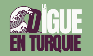 Synthèse déplacement Turquie pour La Digue